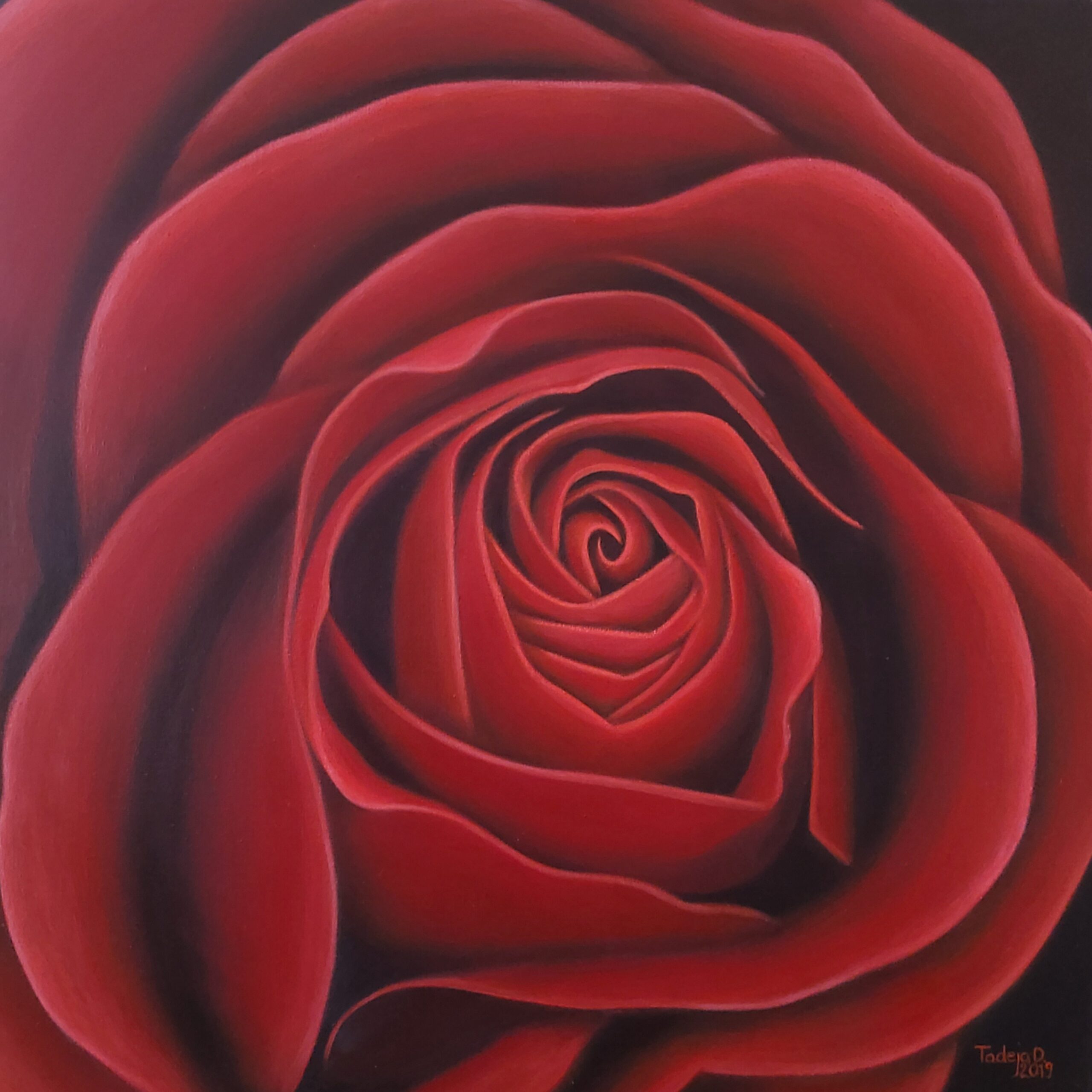 Rose