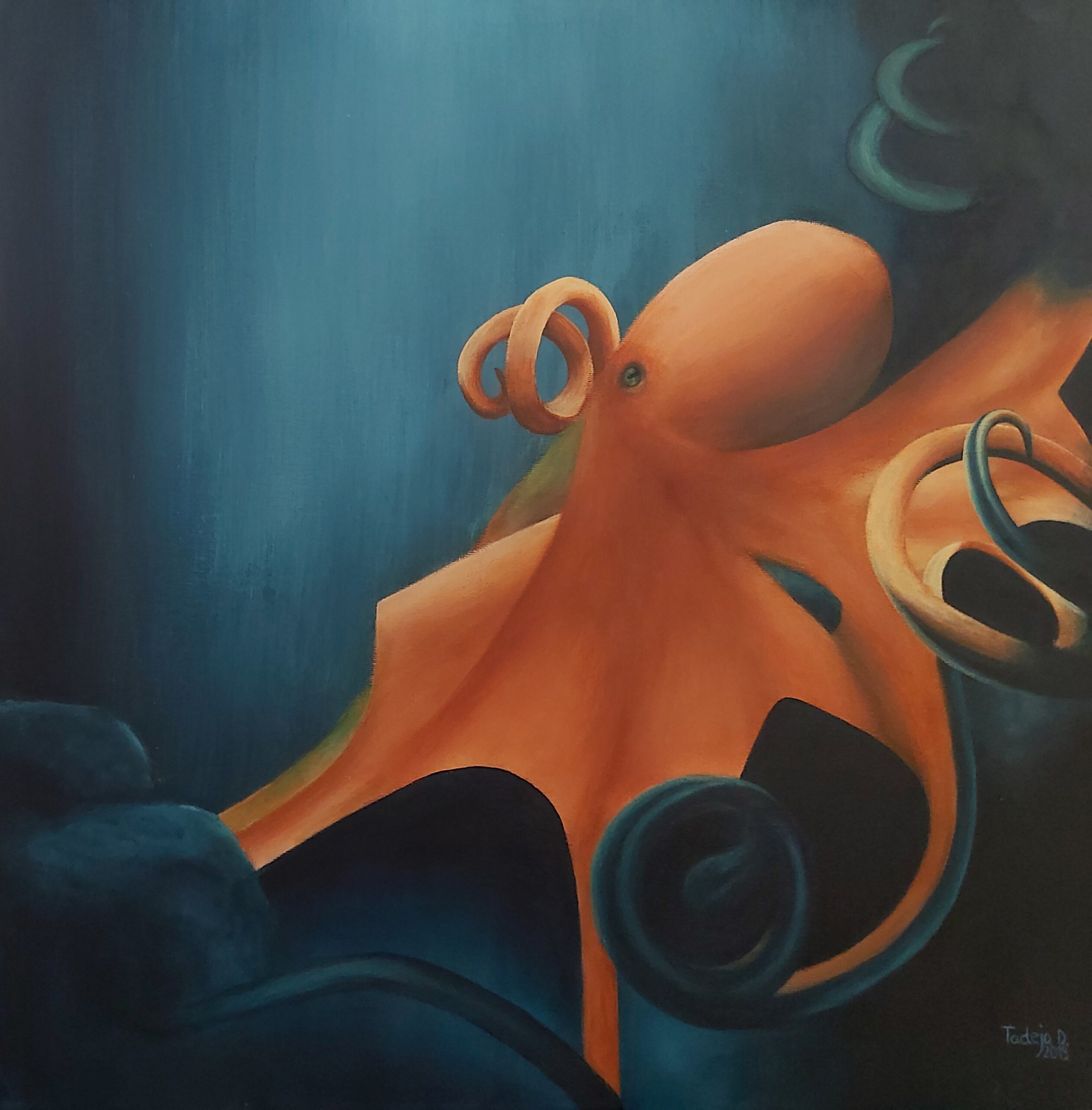 Octopus