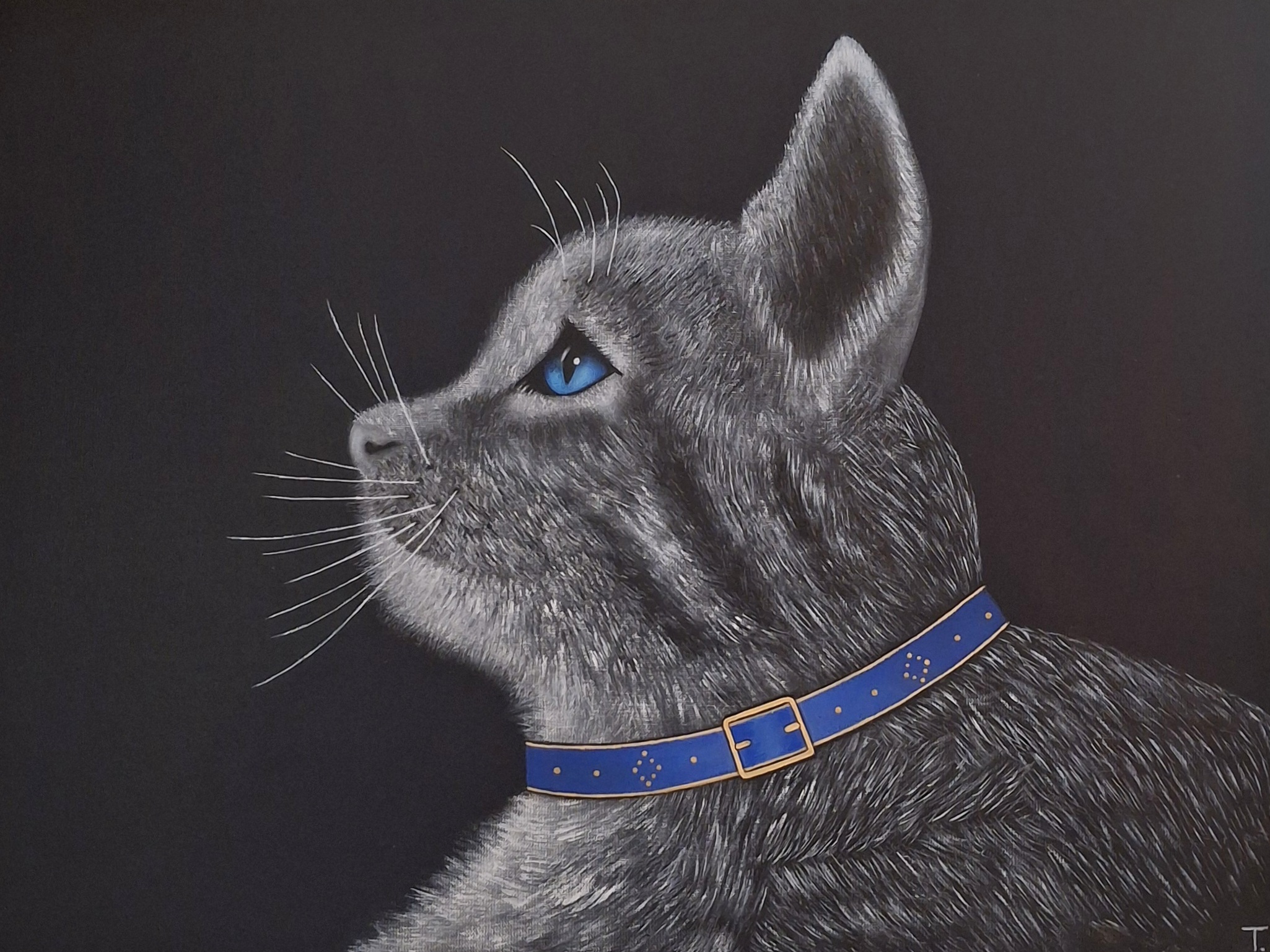 Mysterious Cat